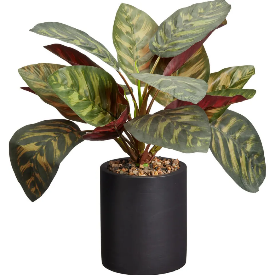 Kwantum Kunstplant Calathea Groen